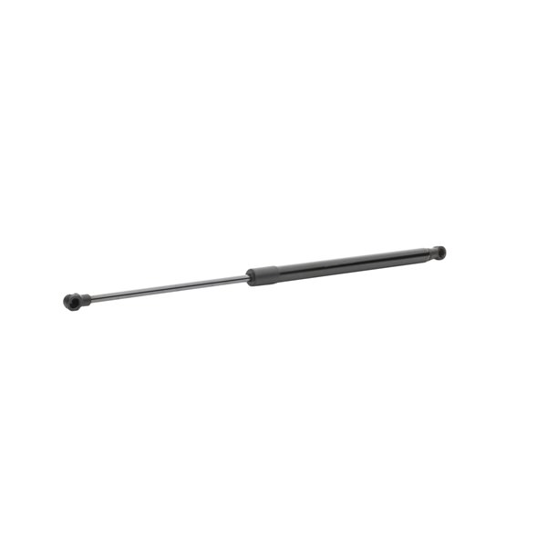 RIDEX 7000210275B0 Gasveer achterklep