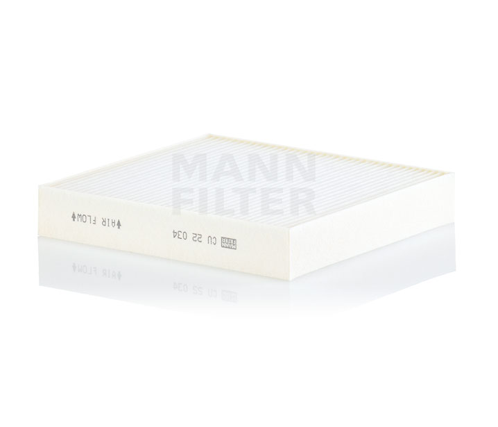 272776RF0A OE MANN-FILTER Salono filtras CU 22 034