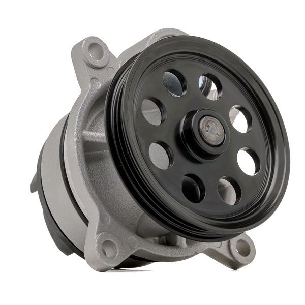 DOLZ F252 Pompe à eau FORD Transit Custom V362 Van (FY, FZ) 2.0 EcoBlue mHEV Diesel/électrique 185 CV 2023 prix