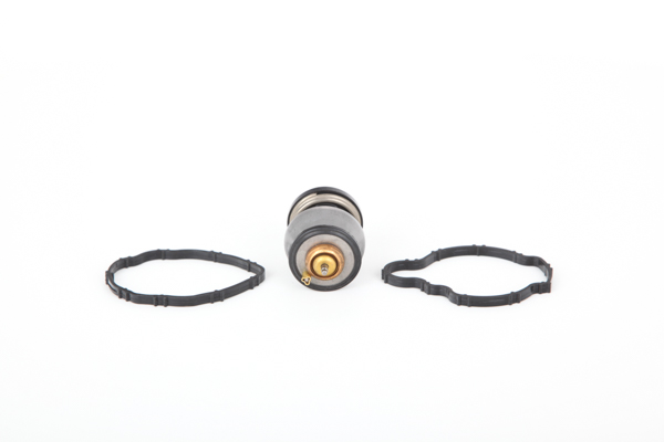 Acheter Continental Thermostat d'eau 28.0200-4085.2