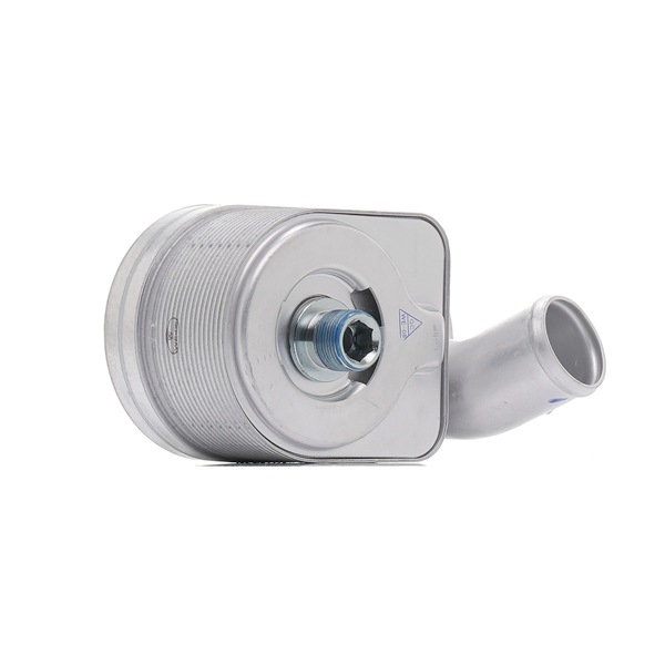 RIDEX 469O0162 Radiador de óleo FIAT Ducato Minibus (250_, 290_) 110 Multijet 2,3 D Diesel 111 cv 2025 preço