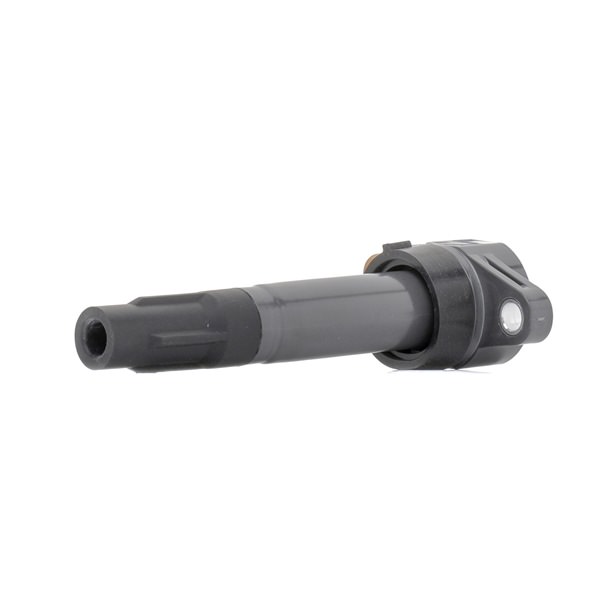 224484A00E OE RIDEX Zündspule 689C0461