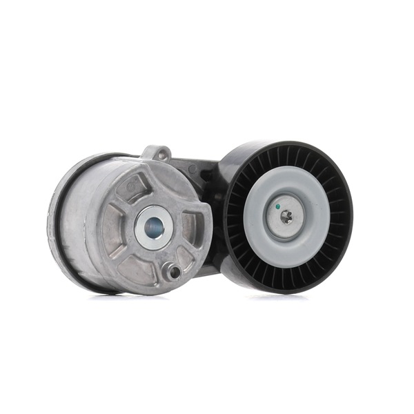 GK2Q6A228AA OE RIDEX Poulie, tendeur de courroie d'accessoire 310T0655