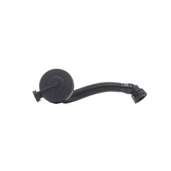 RIDEX 3886V0131 Sistema de respiro do motor SKODA FABIA (6Y2) 1.2 Gasolina 64 cv 2008 preço