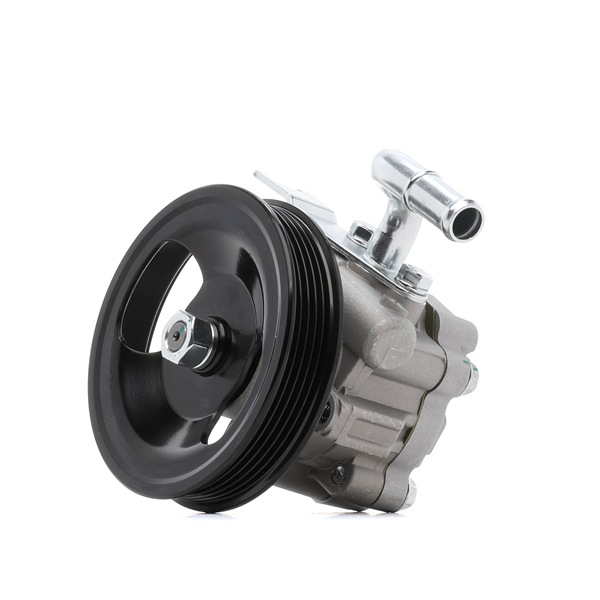 571004D300 OE RIDEX Vairo stiprintuvo siurblys 12H0970