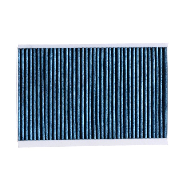 647975 OE RIDEX PLUS Filter, zrak notranjega prostora 424I0492P