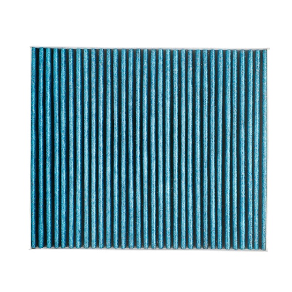 1808020 OE RIDEX PLUS Pollen filter 424I0743P