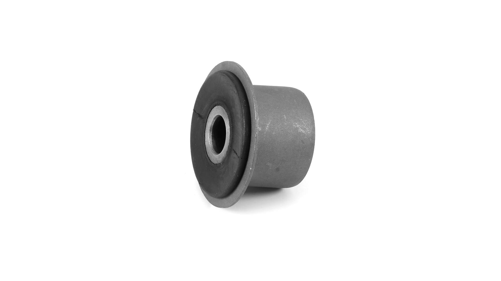 SKF 504077096 Laakerin holkki, lehtijousi VKDCV 01028