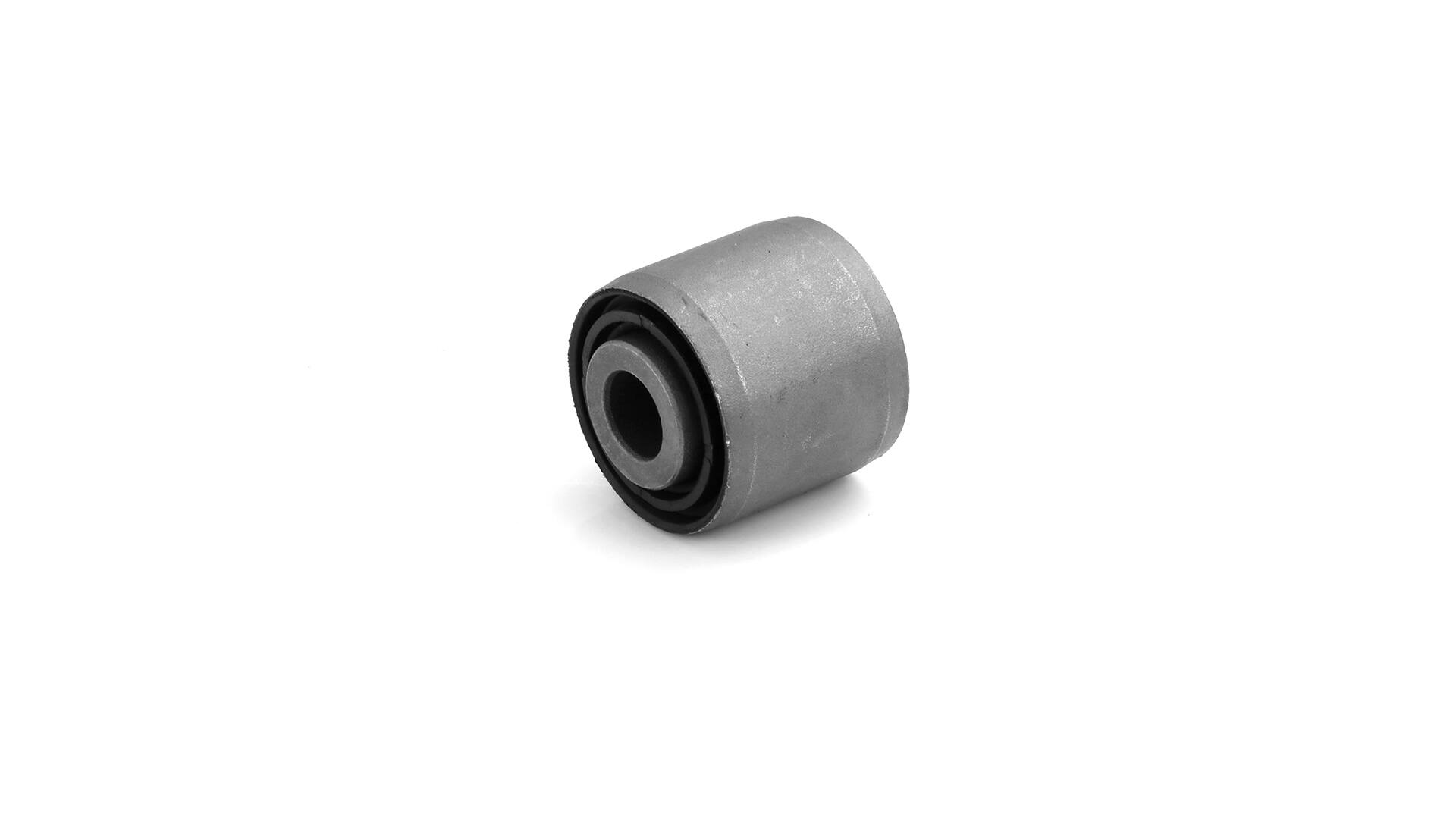 1283618 OE SKF Stabilizatoriaus įvorė VKDCV 09045