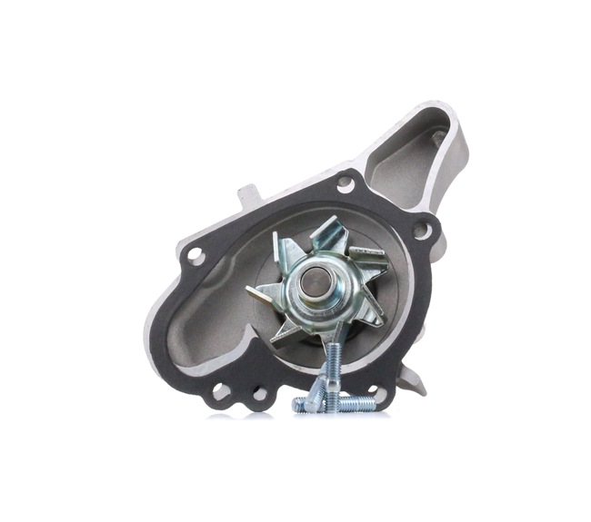 2510002500 OE MAGNETI MARELLI Pompe à eau 352316170549