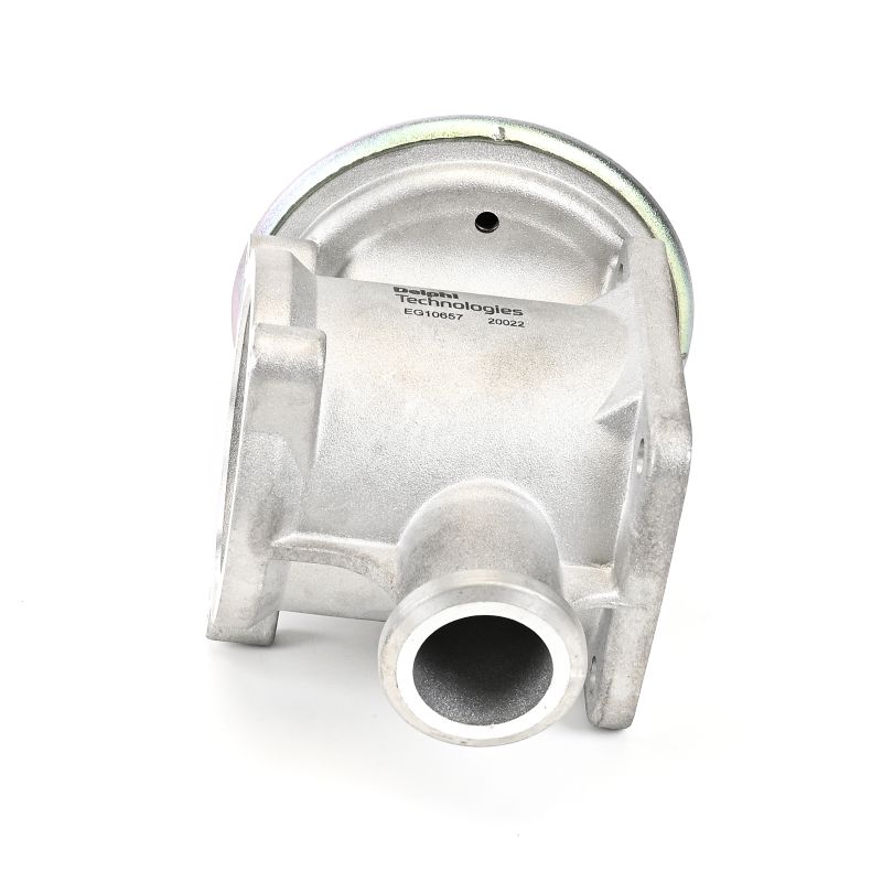 Costo valvola ricircolo gas di scarico BMW Serie 3 DELPHI EG10657-12B1