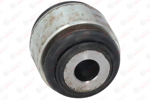 RGD500190 OE BIRTH Trailing arm / Suspension arm bush 20127