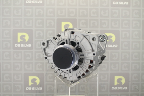 DA SILVA Laturi 031114