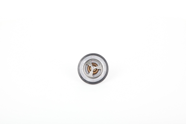 Termostato, refrigerante 1338724 Continental 28.0200-4075.2
