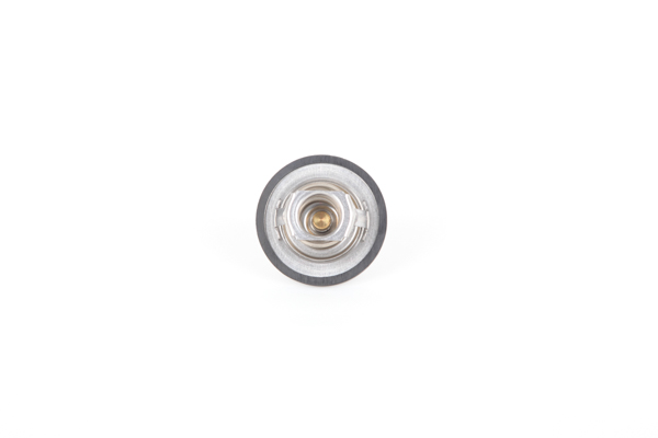 Continental 28.0200-4101.2 Termostat RENAULT MEGANE II stopnicasti zadek (LM0/1_) 2.0 Bencin 138 km 2008