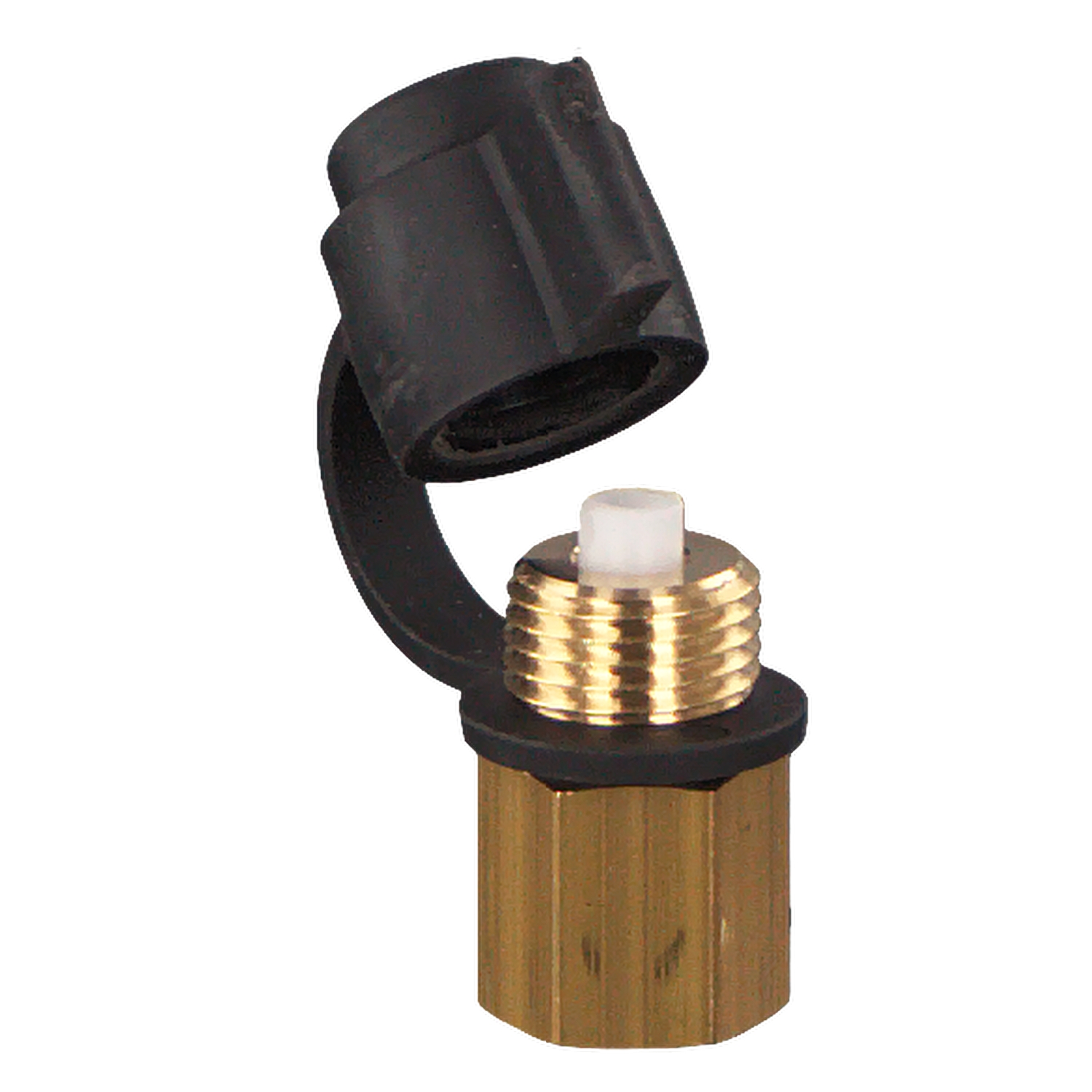 FEBI BILSTEIN Prüfanschluss 01168