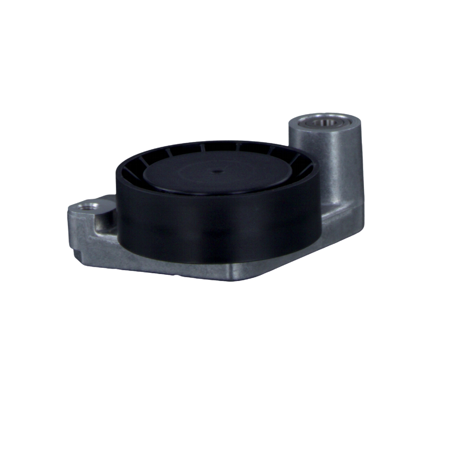 Poulie, tendeur de courroie d'accessoire FEBI BILSTEIN 08690 appropriées pour BMW pas cher