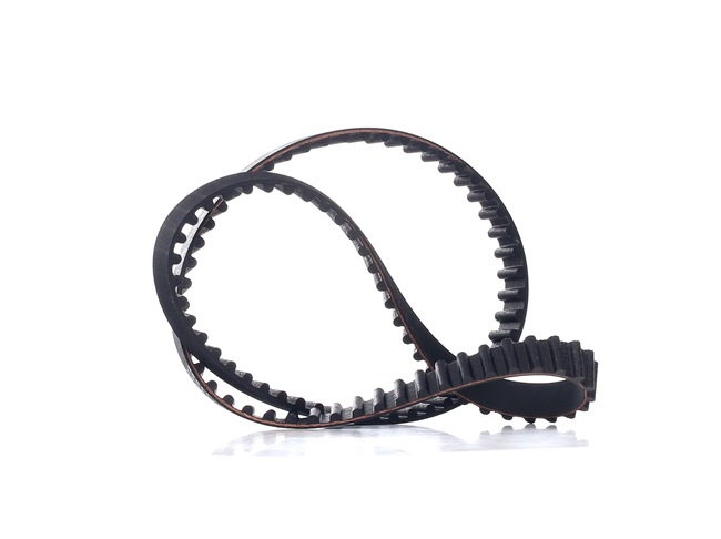 FEBI BILSTEIN Cinghia dentata 11229