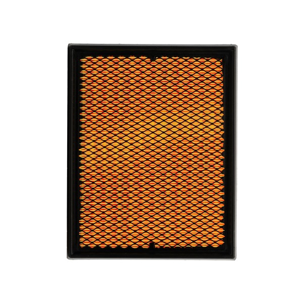 RIDEX PLUS 8A0007P Air filter AUDI A4 Convertible (8H7, B6, 8HE, B7) 3.0 Petrol 218 hp 2005 price