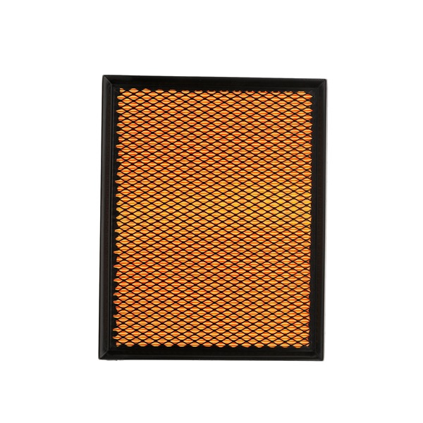 9201138 OE RIDEX PLUS Zracni filter 8A0005P