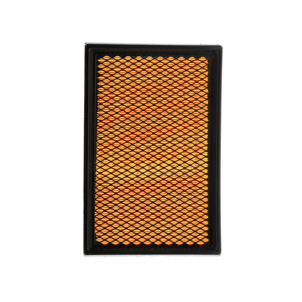 Filtro de aire 1486703 RIDEX PLUS 8A0046P
