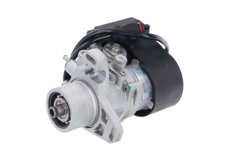 002-005-000029R REMANTE A604070000180 Einspritzpumpe