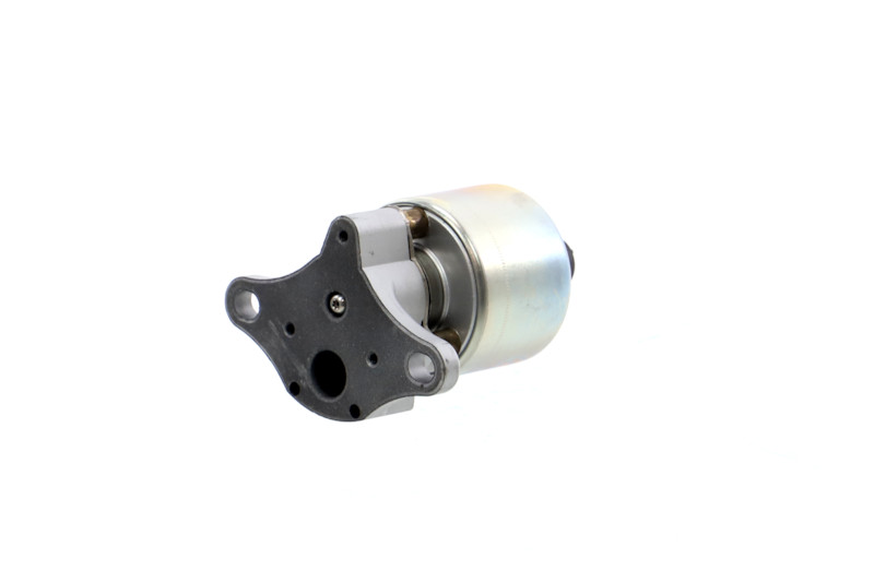 REMANTE 010-001-000061R Egr vožtuvas / įsiurbimo kolektorius OPEL Antara (L07) 2.4 benzinas 141 AG 2010