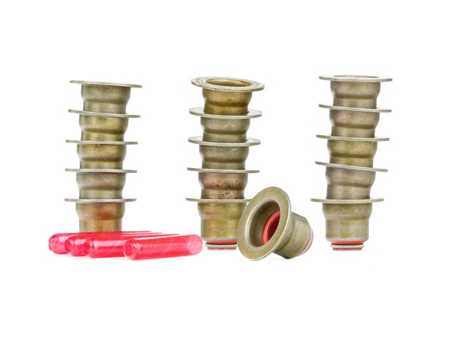 FEBI BILSTEIN 26029 BMW Z4 valve stem seals cost