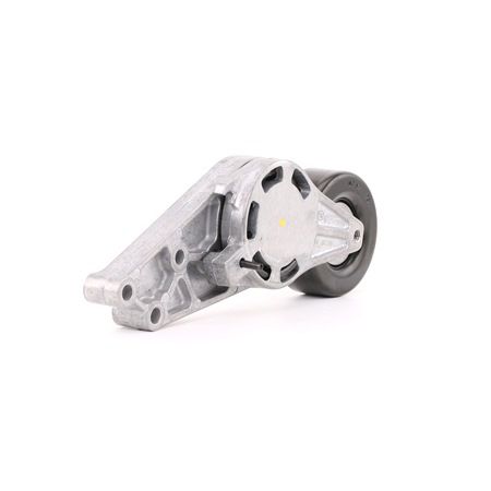 Acheter FEBI BILSTEIN Galet tendeur de courroie d'accessoire 26569