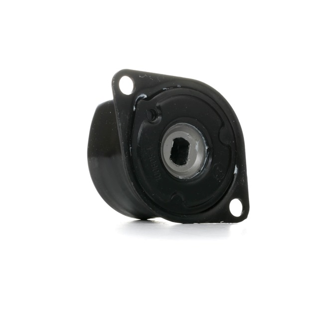 FEBI BILSTEIN Riemenspanner, Keilrippenriemen 27814