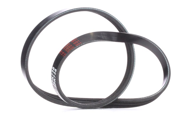 FEBI BILSTEIN 28745 Courroie d'accessoire RENAULT Clio II 3/5 portes (BB, CB) 1.2 LPG (BB0A, CB0A) Essence/gaz de pétrole liquéfié (GPL) 60 CV 2000 prix