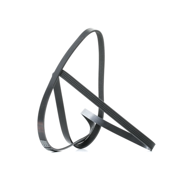 Correa trapecial poli V 11287787368 FEBI BILSTEIN 28888