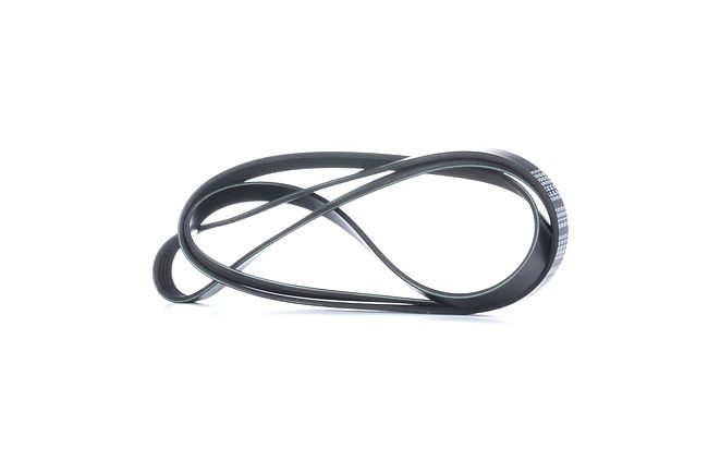 FEBI BILSTEIN Correia trapezoidal estriada 28889