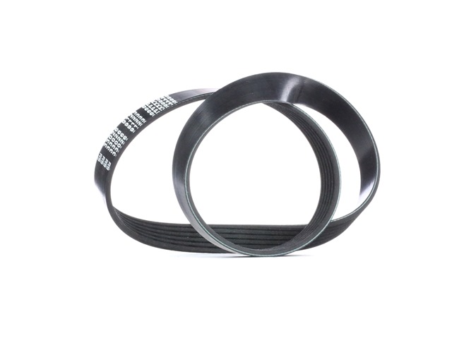 03G903137A OE FEBI BILSTEIN Keilrippenriemen 33026