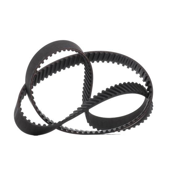 0816E5 OE RIDEX PLUS Cinghia dentata 306T0104P