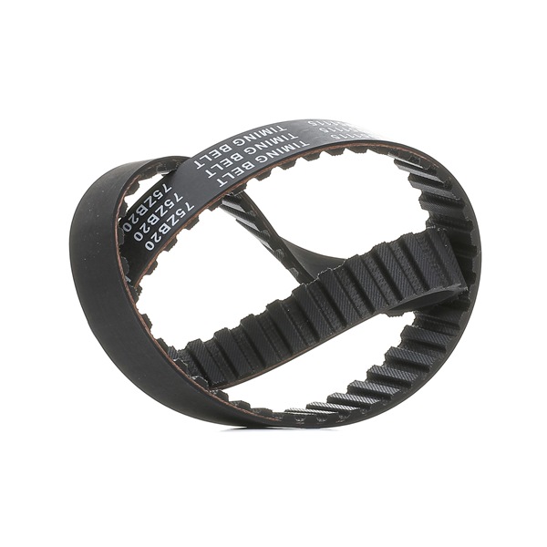 069130113A OE RIDEX PLUS Timing Belt 306T0073P