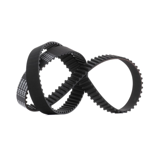 081668 OE RIDEX PLUS Tandrem 306T0205P