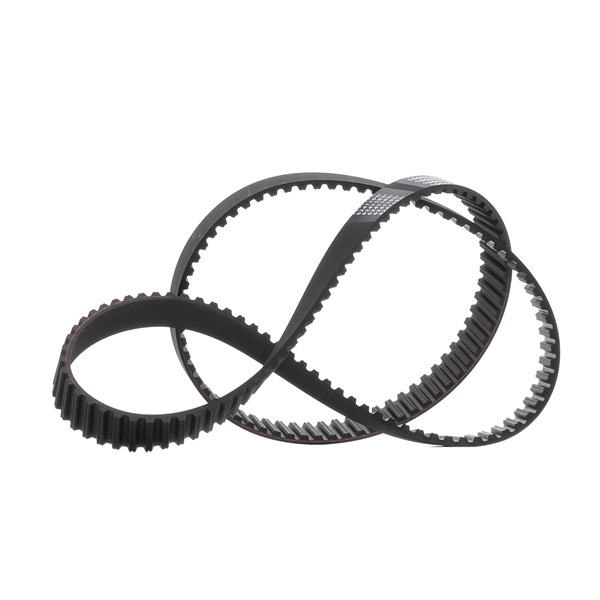 46400045 OE RIDEX PLUS Registerrem 306T0012P