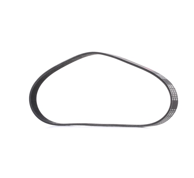 RIDEX PLUS 305P0049P Dirzas pleistiskas polifoninis SKODA Octavia I Combi (1U5) 1.9 SDI dyzelinas 68 AG 1999
