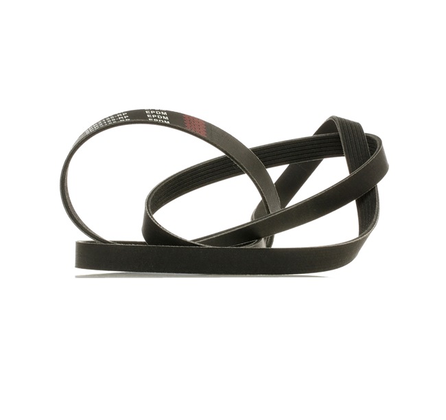 062260849B OE RIDEX PLUS Courroie Poly-V 305P0097P