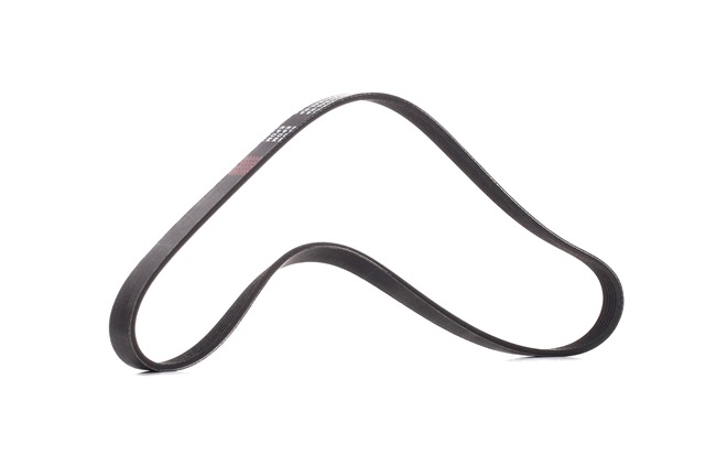 06F260849E OE RIDEX PLUS Cinghia servizi 305P0054P