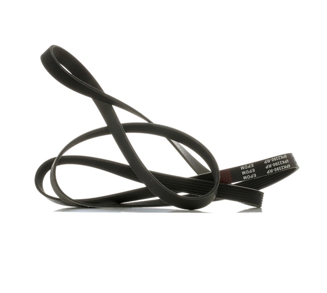 Correa trapecial poli V 5097758AA RIDEX PLUS 305P0102P