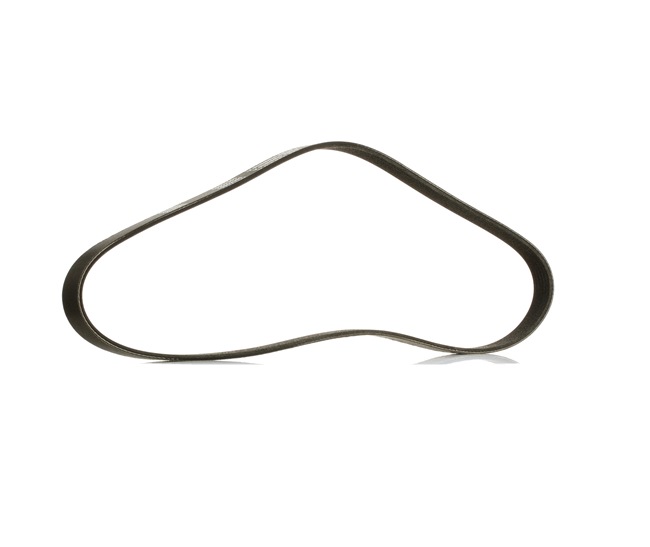 Correa trapecial poli V 037903137H RIDEX PLUS 305P0053P