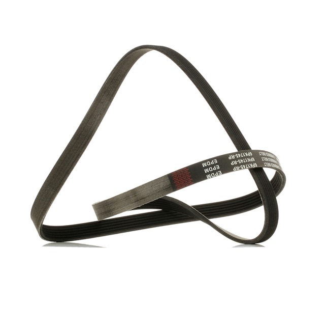 5750HG OE RIDEX PLUS Serpentine belt 305P0084P