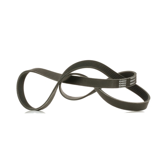 55565301 OE RIDEX PLUS Courroie Poly-V 305P0144P