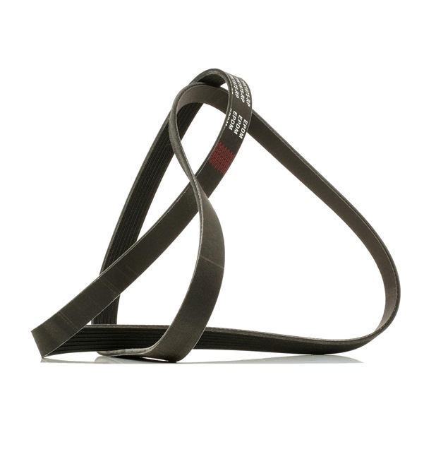 60652358 OE RIDEX PLUS Courroie Poly-V 305P0327P