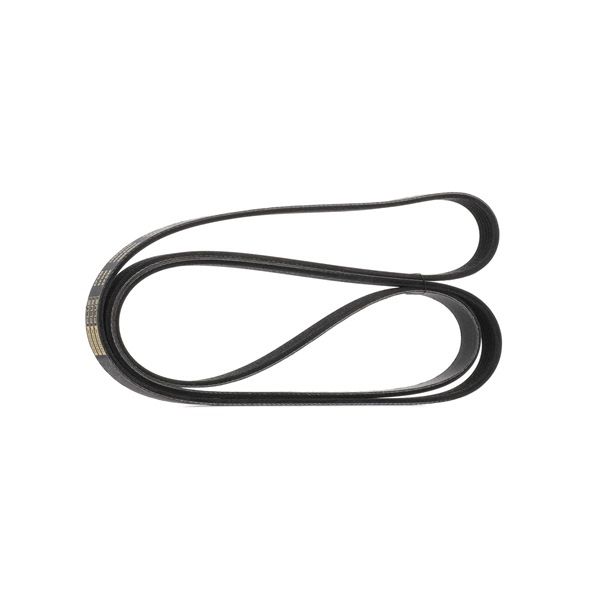 RIDEX PLUS 305P0096P Generatoriaus dirzas Chrysler 300c Universalas 5.7 benzinas 340 AG 2008