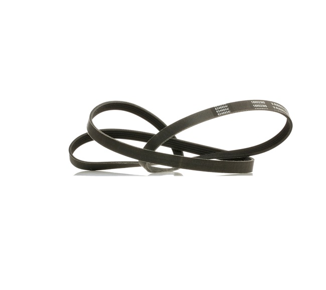 PQS101300L OE RIDEX PLUS Courroie Poly-V 305P0045P