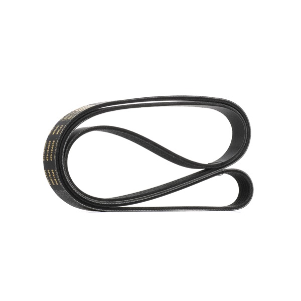 RIDEX PLUS 305P0142P Courroie d'accessoire Audi A4 B7 3.0 Essence 218 CV 2005 prix
