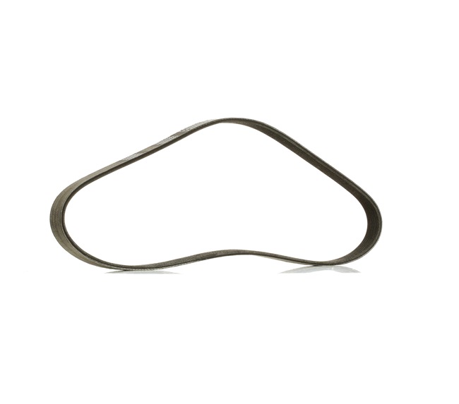 5750PF OE RIDEX PLUS Serpentine belt 305P0183P